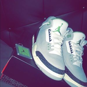 Jordan chlorophyll 3